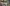 Digitale Woche content